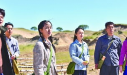 最美的青春电视剧,梦想起航——最美青春电视剧深度解读