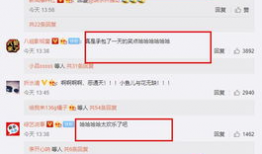 站长工具 吃瓜爆料 反差,揭秘站长工具背后的反差魅力