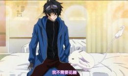 狂欢节动漫第二季,梦幻狂欢，激情再燃